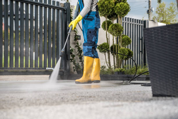 Best Driveway Pressure Washing  in Wchester, IN